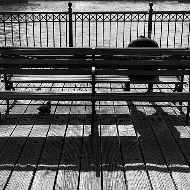 Friends –&nbsp;Foto © Antonio Dini