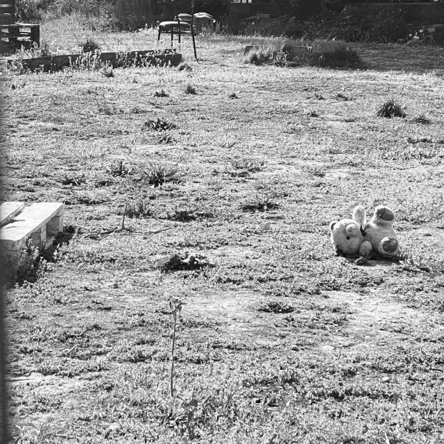 Buona Pasqua –&nbsp;Foto © Antonio Dini