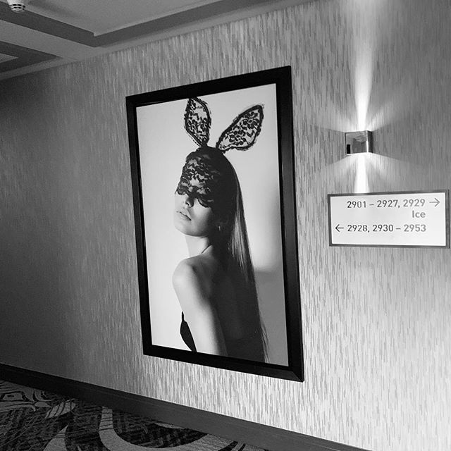 Bunny - Foto © Antonio Dini