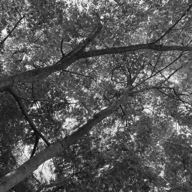 ...sed peiora parantunr –&nbsp;Foto © Antonio Dini