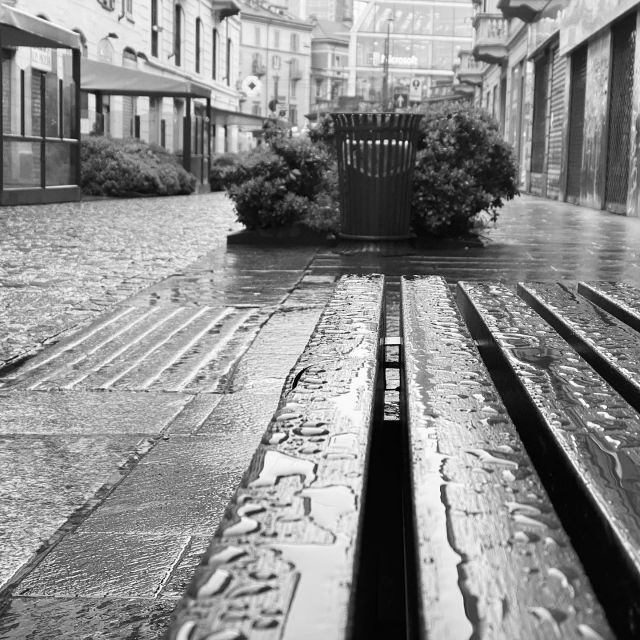 Piove sui giusti e sugli ingiusti –&nbsp;Foto © Antonio Dini