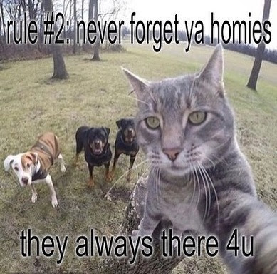 never forget ya homies, they always their 4u