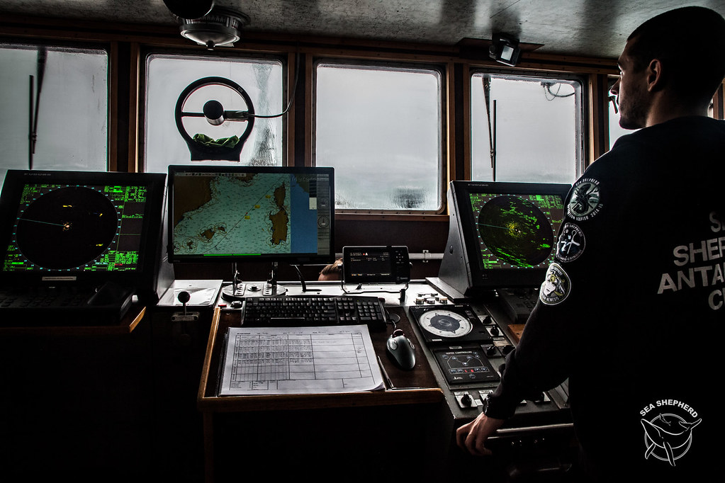 seashepherd6.jpg