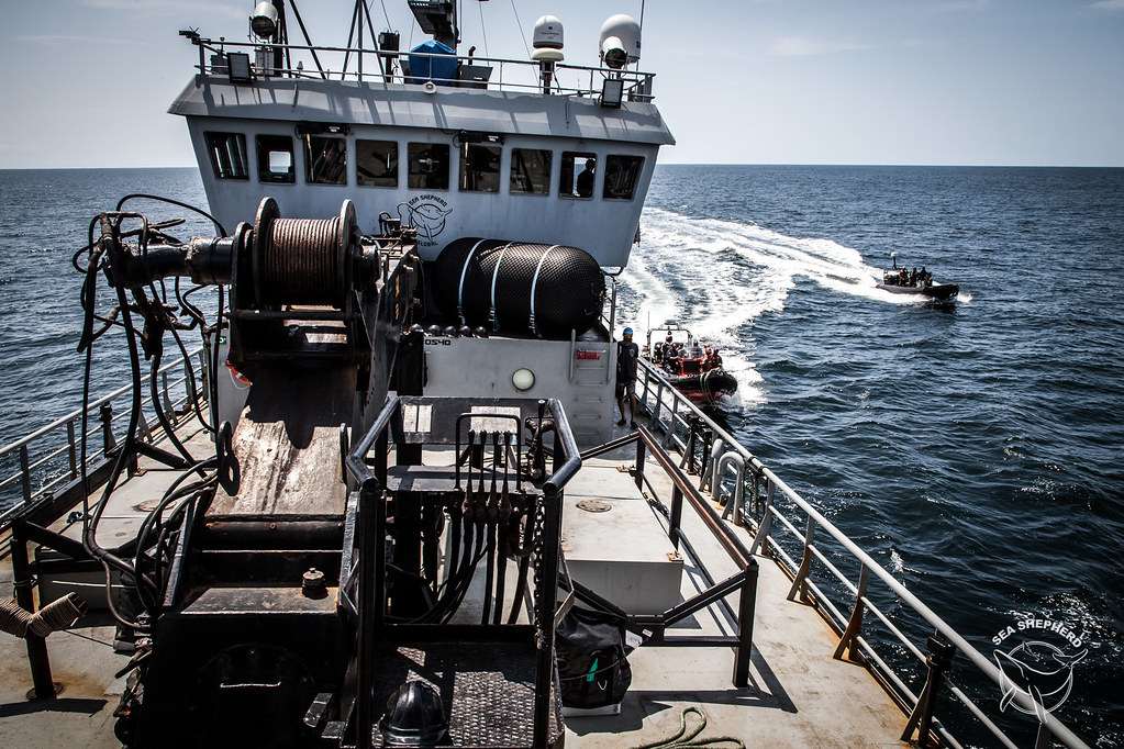 seashepherd7.jpg
