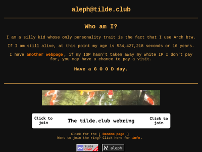 Screenshot of ~aleph
