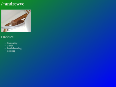 Screenshot of ~andrewvc