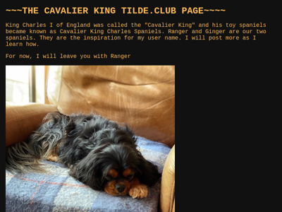 Screenshot of ~cavalierking