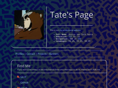 Screenshot of ~dvtate