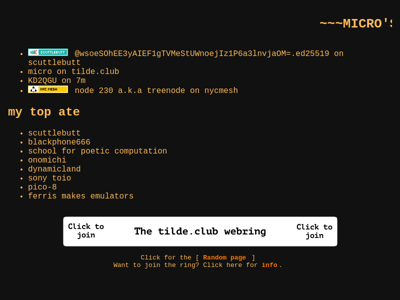Screenshot of ~micro