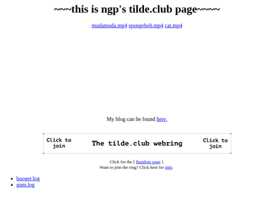 Screenshot of ~ngp