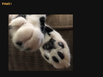 Screenshot of ~paws