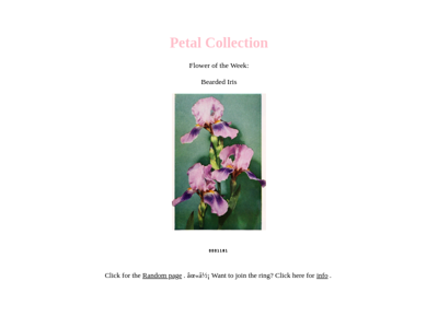 Screenshot of ~petalcollector