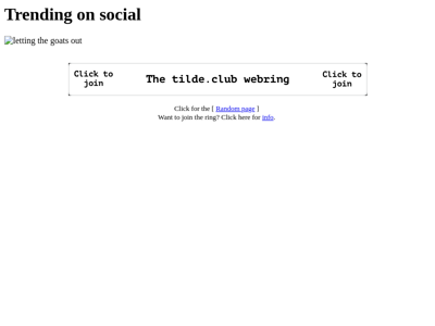 Screenshot of ~rsingel