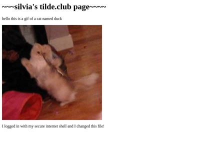 Screenshot of ~silvia
