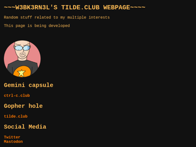 Screenshot of ~w3bk3rn3l